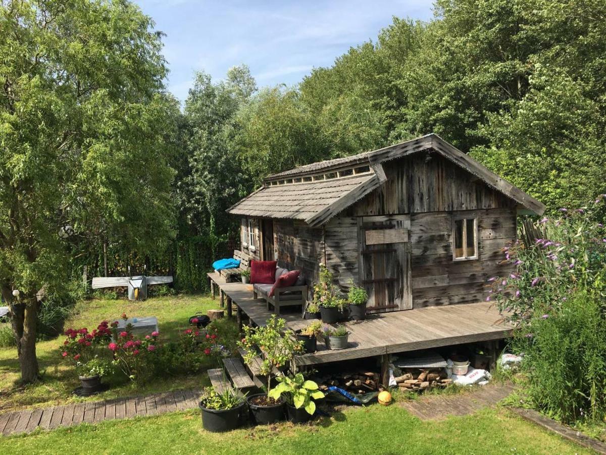 Cabin In The Green - Near Amsterdam Velsen-Zuid Eksteriør billede